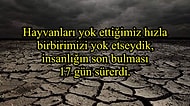 Dünyanın Dört Bir Yanından Gören Herkesi Şaşkına Çevirecek 25 Kare