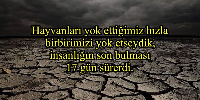 Dünyanın Dört Bir Yanından Gören Herkesi Şaşkına Çevirecek 25 Kare