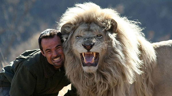 4. Выберите животное, с которым вы себя ассоциируете: