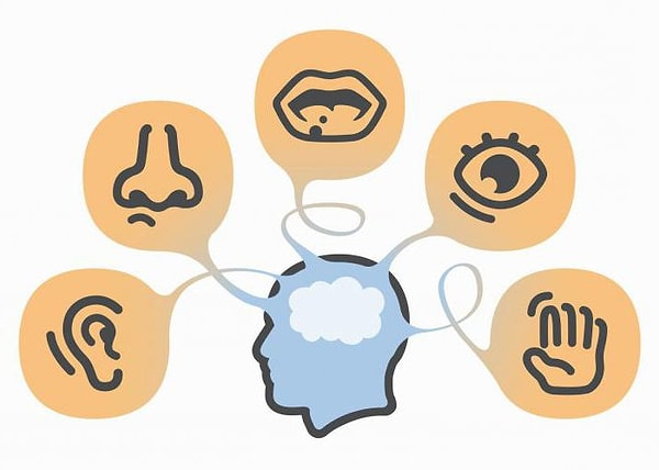 9. Что из этого у вас развито лучше всего?