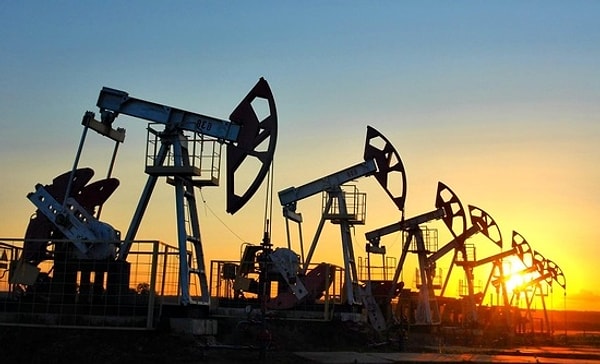 2. Где добываются нефть, газ, уголь и полиметаллические руды?