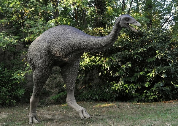 2. Тема "В мире птиц". Считается, что прообразом этой гигантской птицы, упоминающейся в сказках "Тысячи и одной ночи", стал вымерший эпиорнис, когда-то обитавший на острове Мадагаскар.