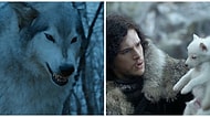 Game of Thrones'taki Kurtlar Tüm Sezon Boyunca Stark Hanesi'nin Kaderini Nasıl Belirledi?