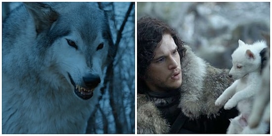 Game of Thrones'taki Kurtlar Tüm Sezon Boyunca Stark Hanesi'nin Kaderini Nasıl Belirledi?