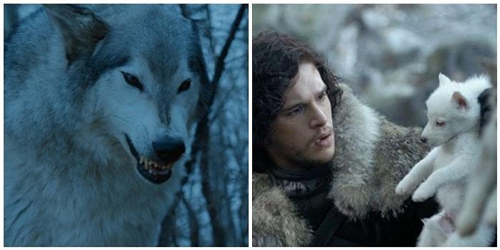 Game of Thrones'taki Kurtlar Tüm Sezon Boyunca Stark Hanesi'nin Kaderini Nasıl Belirledi?