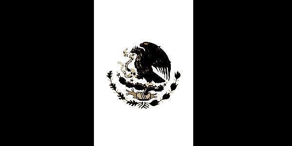 5. Сможете ли вы угадать, какой страны это флаг в его черно-белом варианте?