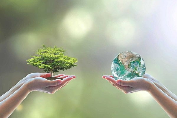 Ваше предназначение - саморазвитие через познание красоты