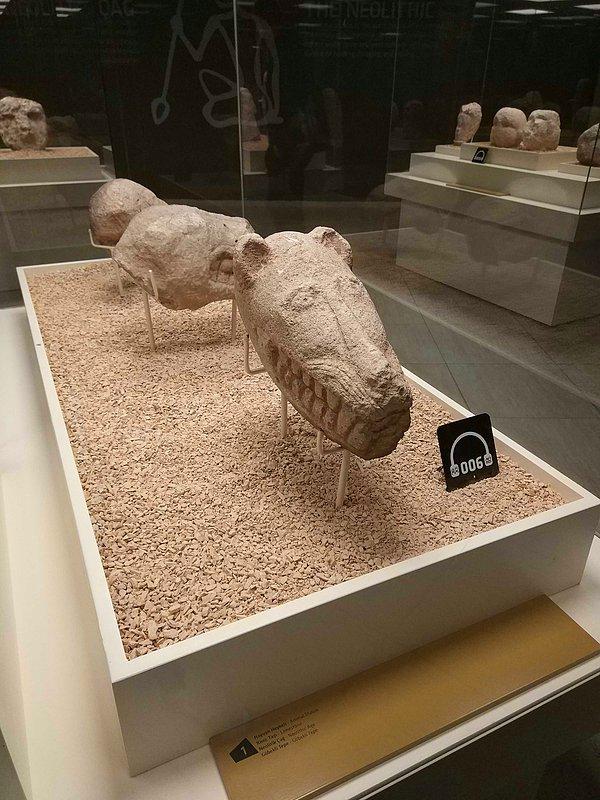 12.000 yıl öncesinden başlayıp İslami döneme kadar bir geçit oluşturan bu müzede, Bizans dönemine kadar bir çok vahşi hayvan figürü var.