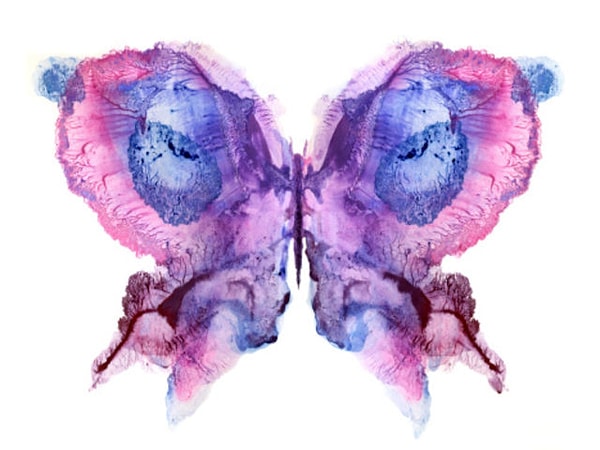 1. Что вы видите в этой кляксе?