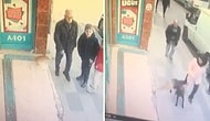 Mahalle Köşesinde Yol Kesen İşsizler Gibi Gelen Geçene Saldıran Rahatsız Kedi