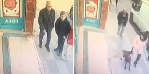 Mahalle Köşesinde Yol Kesen İşsizler Gibi Gelen Geçene Saldıran Rahatsız Kedi