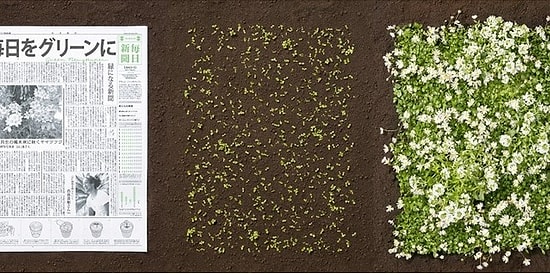 Daha Yeşil Bir Dünya İçin! Gezegeni Kurtarmak Amacıyla Üretilen Birbirinden Çevreci ve Yenilikçi 8 Fikir