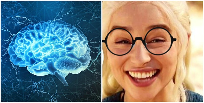 Тест: Если вам удастся ответить на все вопросы на общие знания, то можете считать себя ходячей энциклопедией