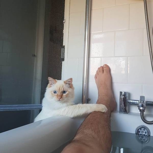 10. Хозяин? С тобой все хорошо, хозяин? Не забудь, скоро меня нужно кормить!