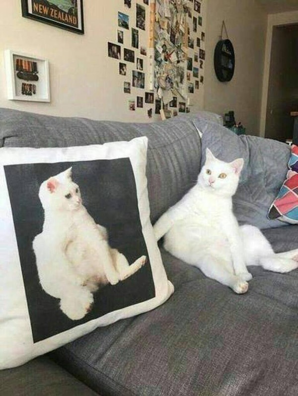 12. Как это понимать, уважаемый?