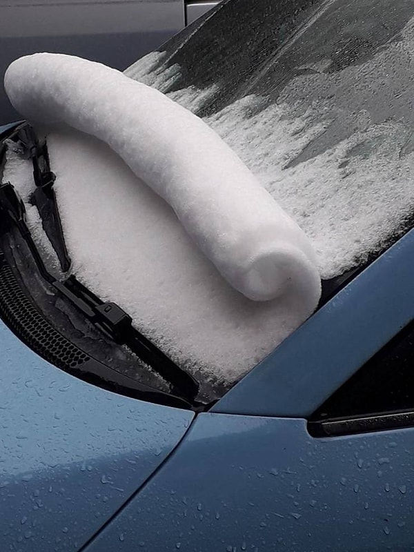 14. Природа - такая выдумщица-затейница :)