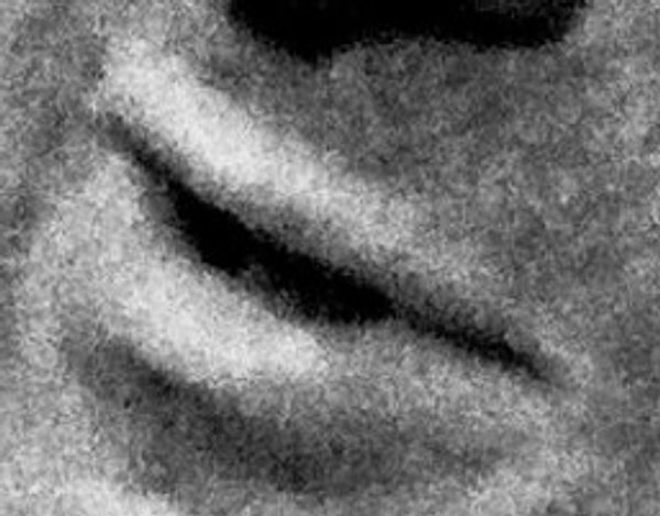 4. Знакомы ли вам эти губы?