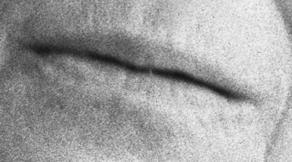 9. А вот тут посложнее. Сумеете ли вы узнать обладательницу этих губ?