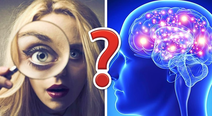 Тест на интеллект: Докажите, что вы разносторонняя личность, набрав 12/14 без помощи Гугла