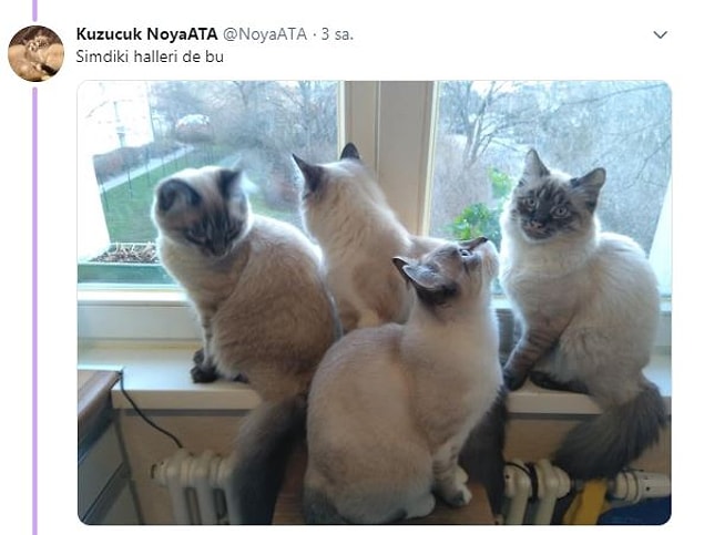 Çok çabuk büyüyorlar...