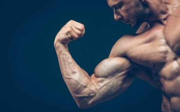 3. Как называется мужской половой гормон?