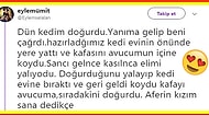 Kedisinin Doğum Anını ve Sonrasında Yaşananları Twitter'da Paylaşarak Yüreklerimizi Eriten Kullanıcı ve Ardından Gelen Tepkiler