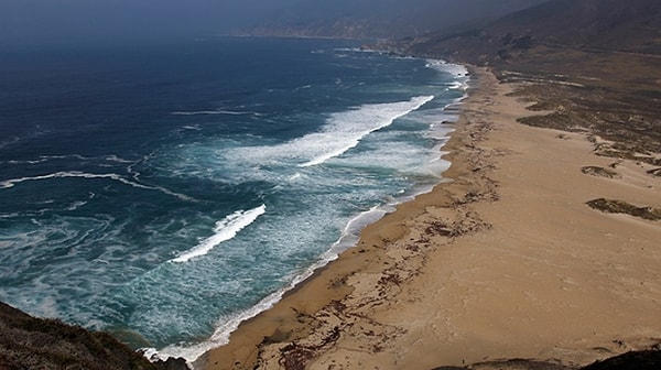 9. Сколько океанов омывает территорию США?