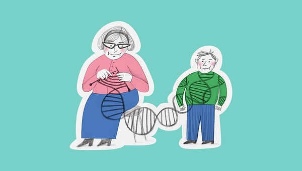 10. Какая хромосома отвечает за пол будущего ребёнка - мальчика?