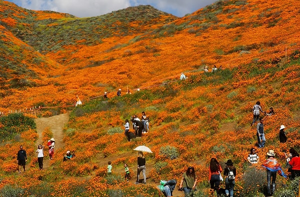 4. Ехать туда в выходные - не самая лучшая идея 😌