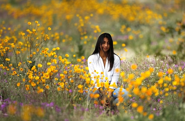 5. Во время суперблума цветы запрещено рвать, а также ложиться на них.