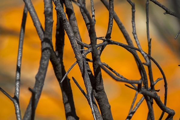 10. Поражающая разница...