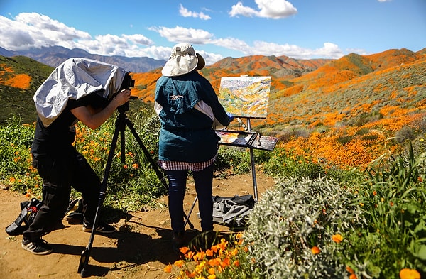 16. Конечно, художники не могут упустить возможность запечатлеть эту почти сюрреалистическую красоту.