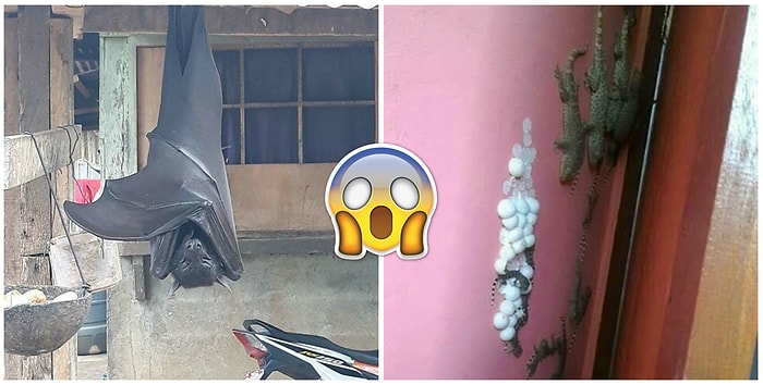 Не для слабонервных: 28 раз, когда матушка-природа показала нам пугающую сторону своих "детей"