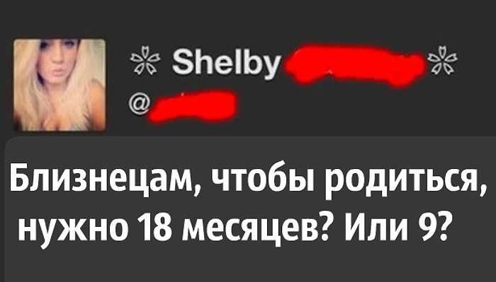25 фото и гифок, которые докажут, что от человеческой глупости нет лекарства, а жаль
