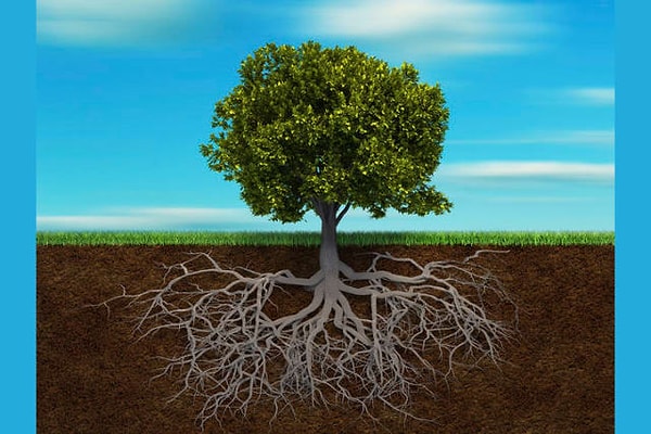 Меланхолик