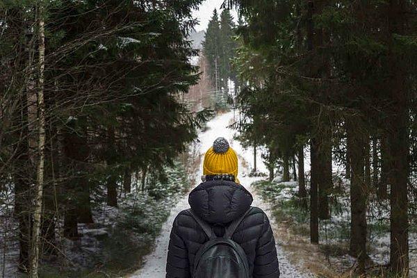 "Başkaları terapiye giderken Finlandiyalılar ormana gidiyor"