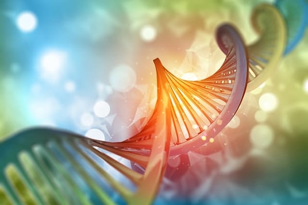 4. Одинаковое ли этническое происхождение у ваших родителей?