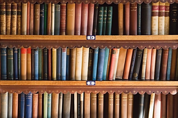 6. В какой из этих областей вы заинтересованы больше?