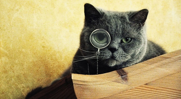 Тест: Вас трудно назвать невеждой, если вы сумеете закончить эти крылатые фразы на 13/13