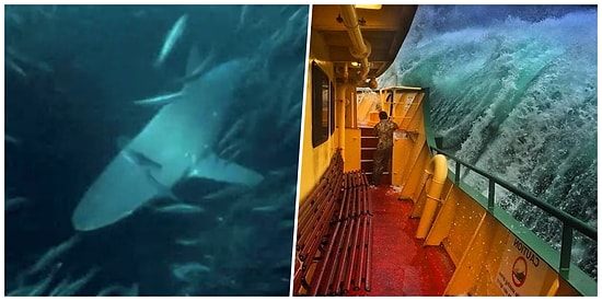 Tatile Para Harcamamak İçin Neden Arayanlara, Deniz Aşıklarını Bile Korkutacak Fotoğraflar