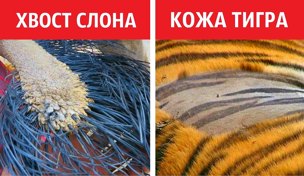 30 редких фото, которые покажут вам невиданные раньше стороны мира