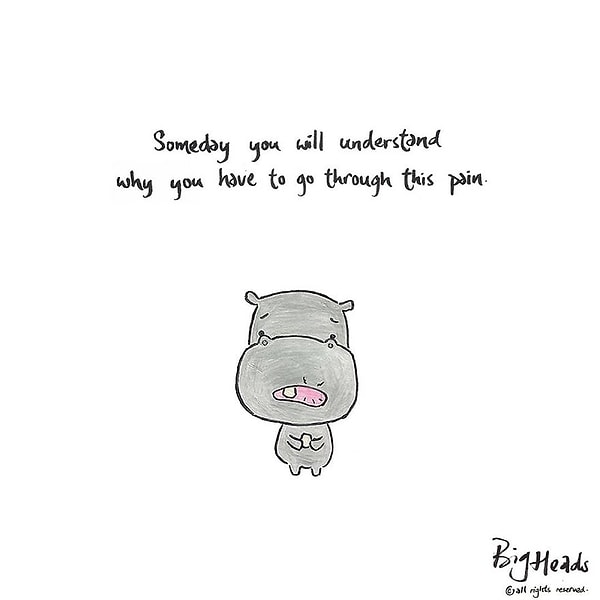 14. В один прекрасный день ты поймешь, для чего тебе пришлось испытать всю эту боль
