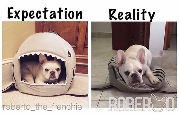 12. Хм, наверно не понравилась, решил не сдаваться, заказал вторую кроватку: