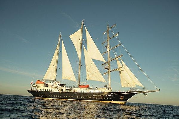 3. Чтобы построить корабль, вы будете использовать древесину какого дерева?