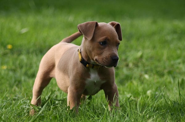 4. Что скажете?