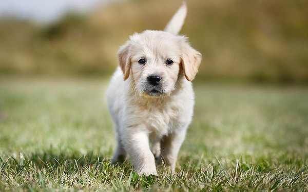 11. Какие мысли?