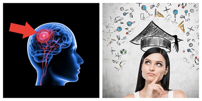 Тест: Ответив правильно хотя бы на половину вопросов этого теста, вы еще раз подтвердите свою начитанность