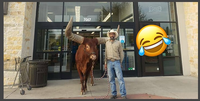 На заявление зоомагазина о том, что они впустят внутрь любого зверя, этот мужчина приволок быка