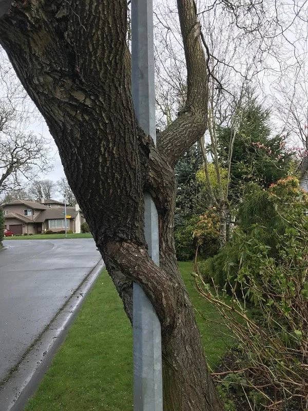 7. Примерно так выглядят слиянческие отношения между партнерами :)