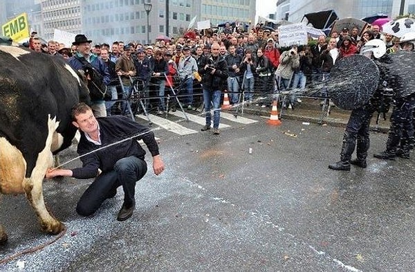 8. Где можно было такое снять?